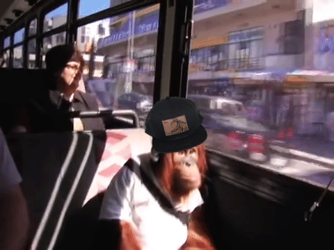 The MAC Hat v1